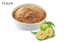 Garcinia Cambogia Extract